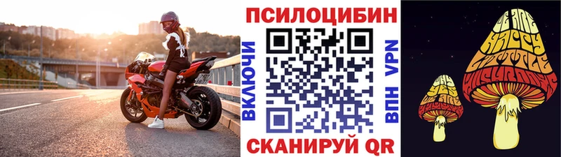 Галлюциногенные грибы Psilocybe  Нязепетровск 